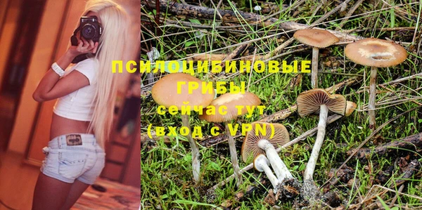 прущие крисы Сосновка