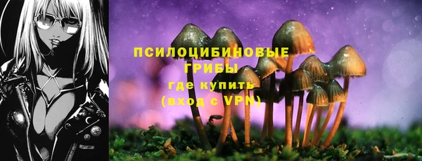 гидропоника Богородицк